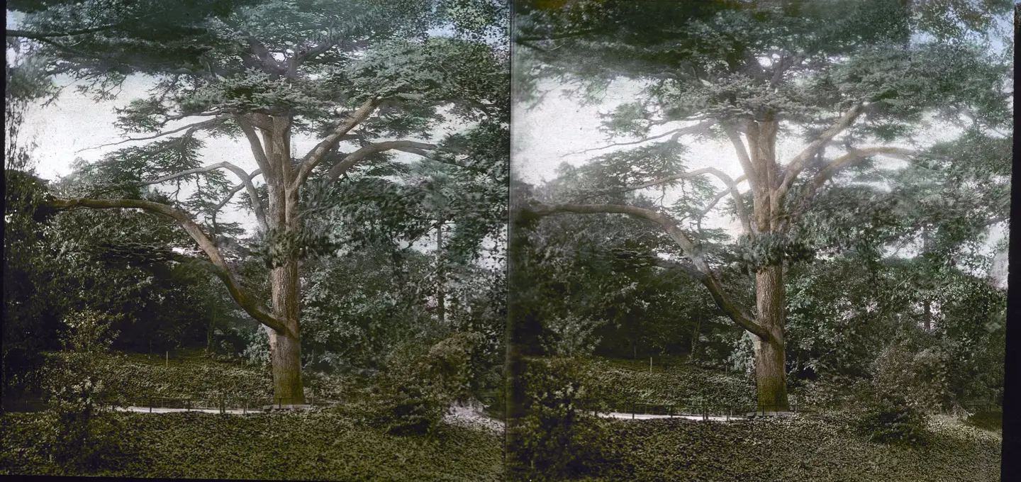 Galerie Roger-Viollet