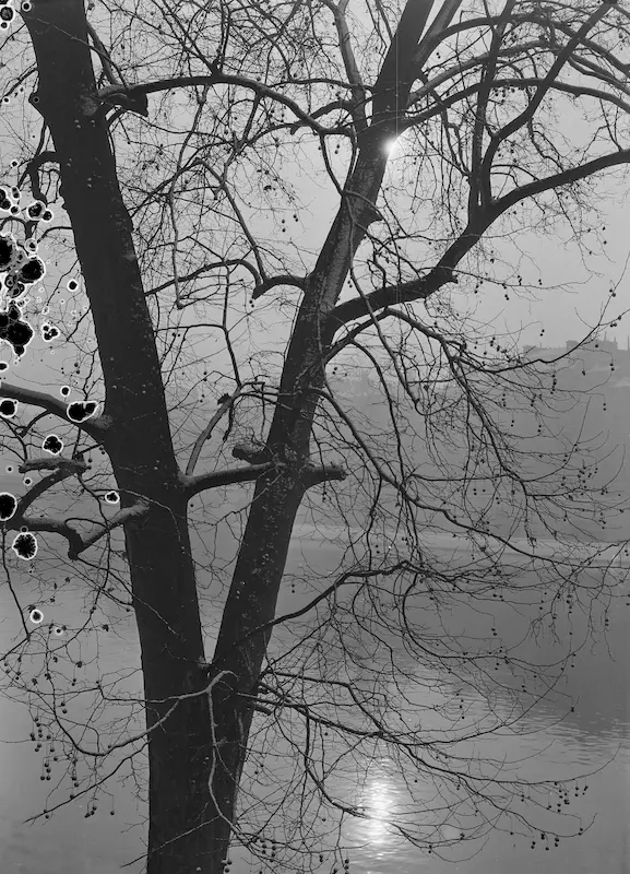 Galerie Roger-Viollet