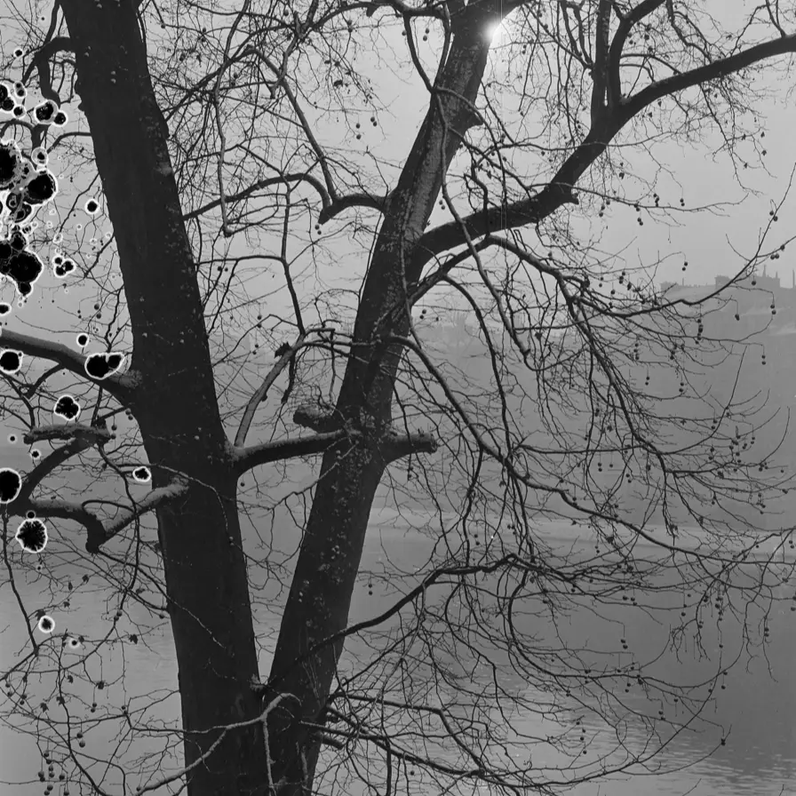 Galerie Roger-Viollet