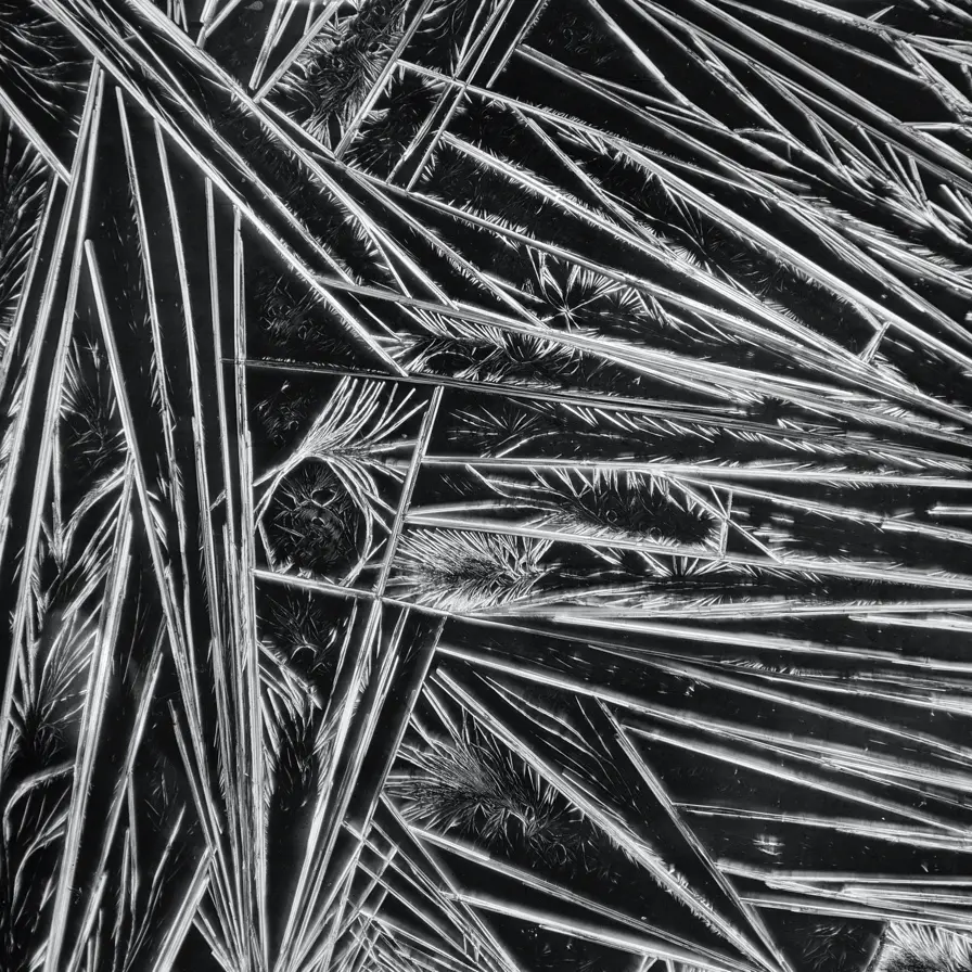 Galerie Roger-Viollet