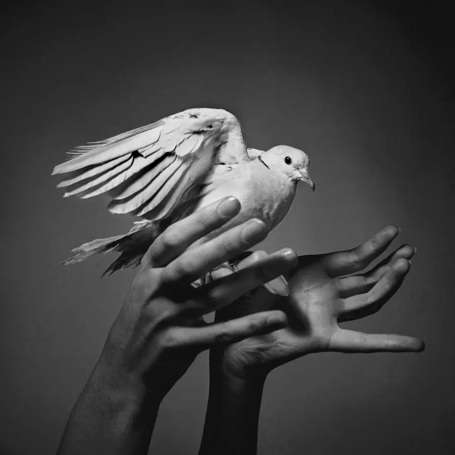 Galerie Roger-Viollet