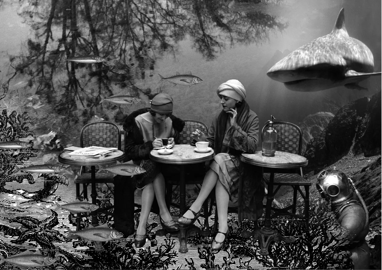 Galerie Roger-Viollet