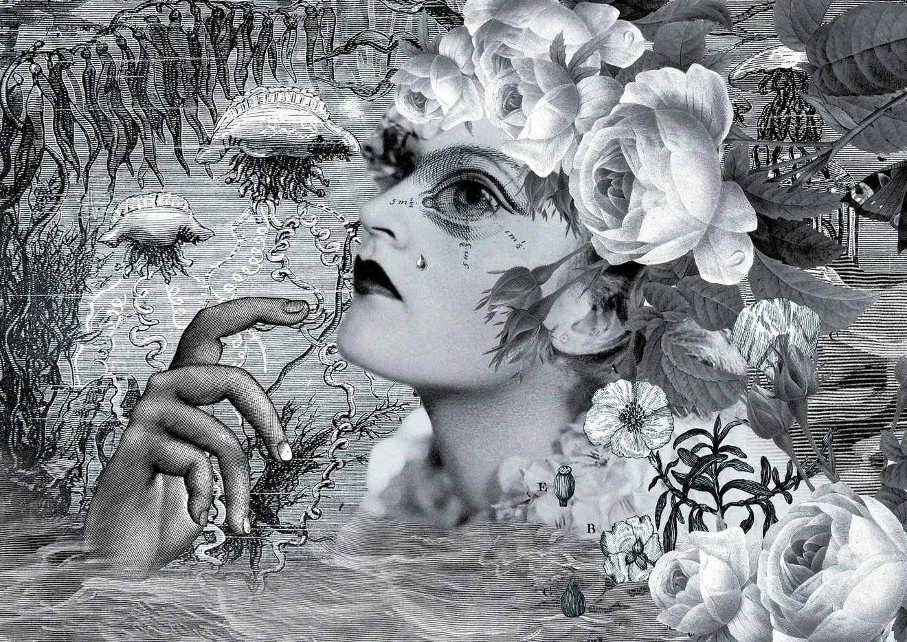 Galerie Roger-Viollet