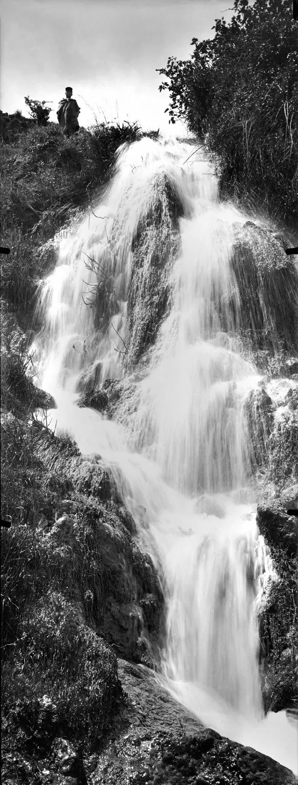 Galerie Roger-Viollet