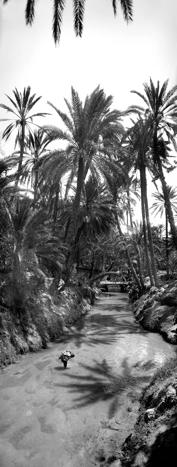 Galerie Roger-Viollet